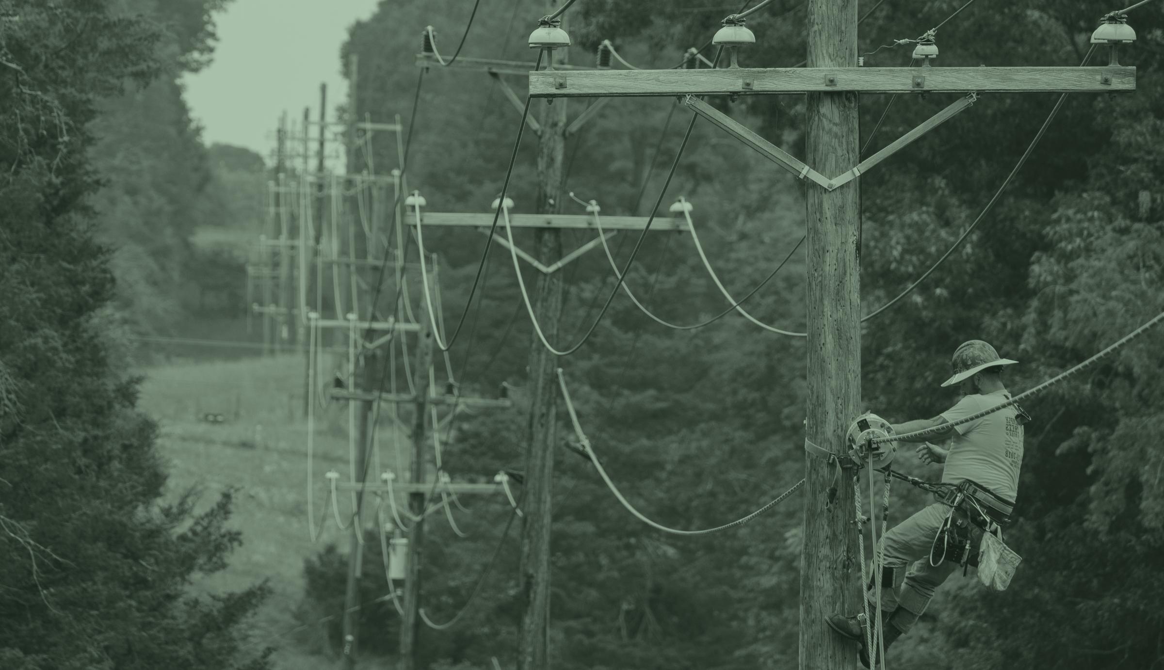 A lineman working near the top of a wooden pole, with a line of poles running away through wooded rural country.